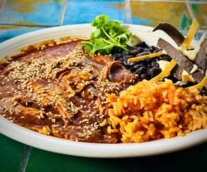 Duck mole enchalada